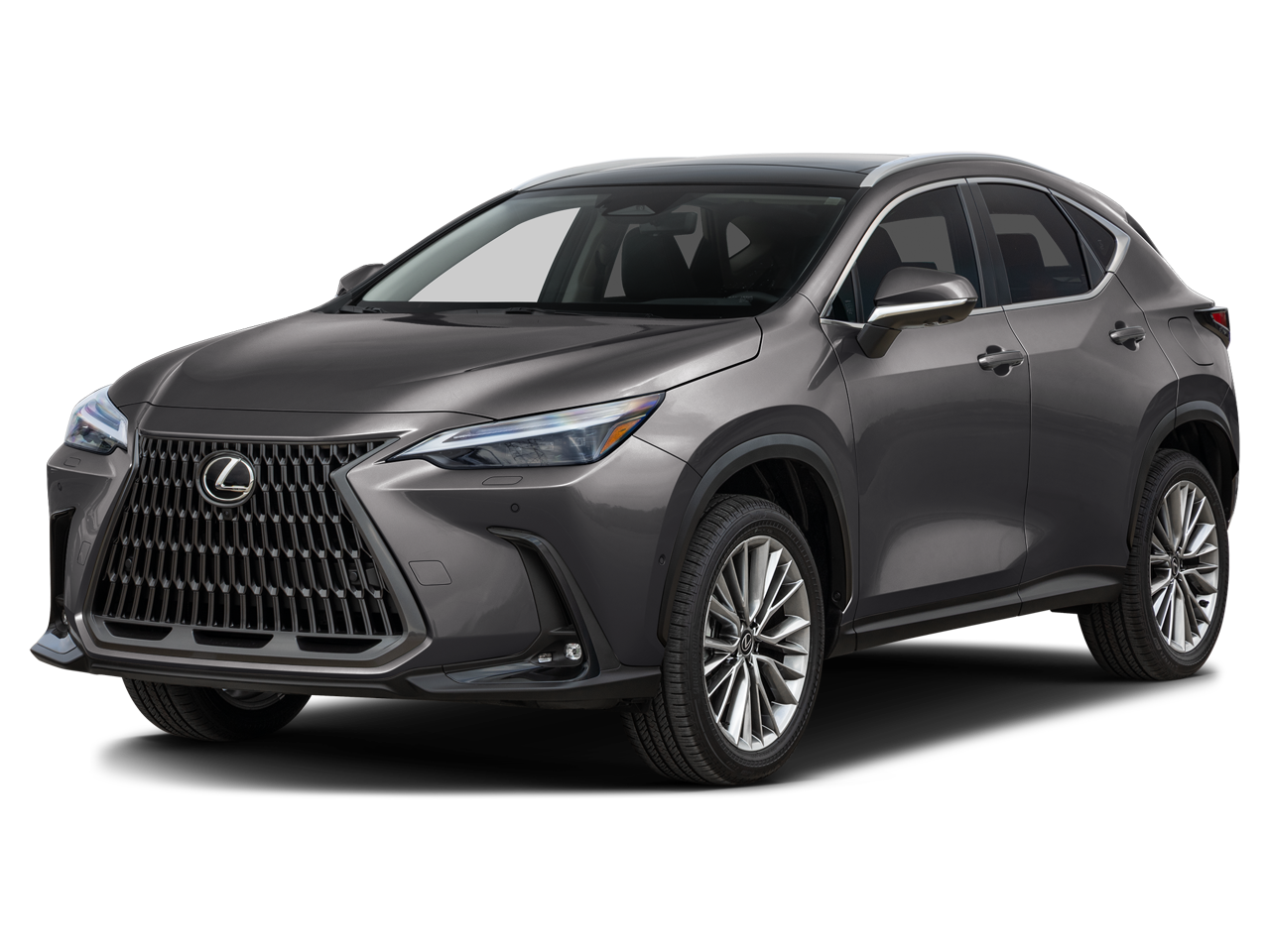 2026 Lexus NX 350h 350h Luxury AWD's photo