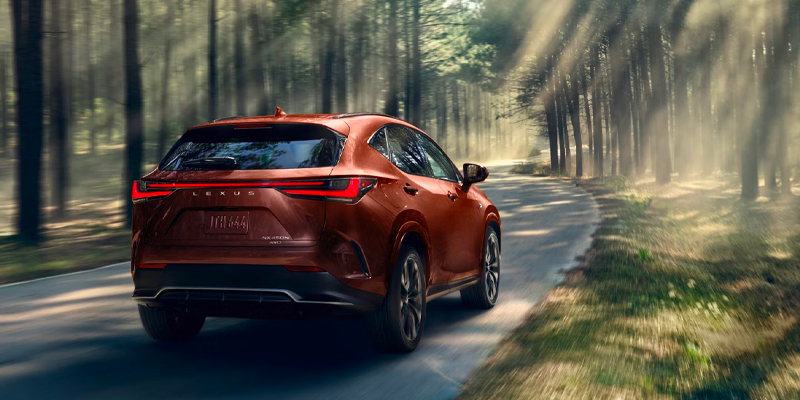 A 2026 Lexus Hybrid driving through a wooded area, showcasing its sleek design amidst lush greenery.