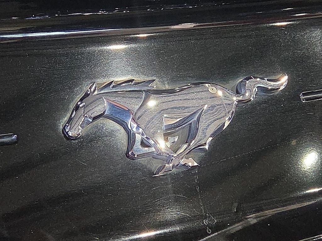 2022 Ford Mustang EcoBoost