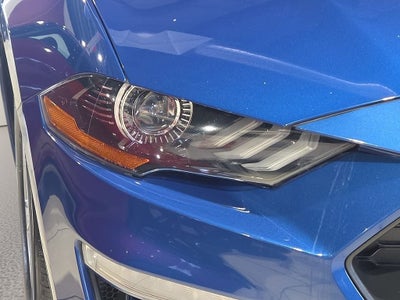 2022 Ford Mustang EcoBoost