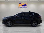 2026 Lexus NX 350 AWD