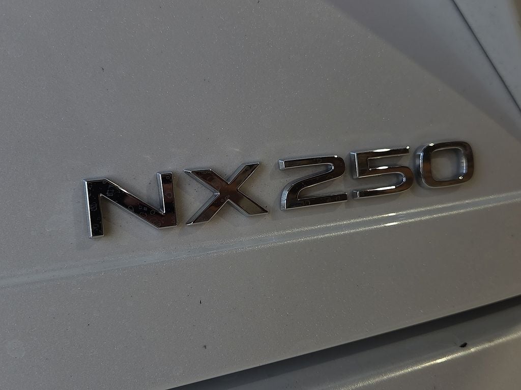 2024 Lexus NX 250 Premium