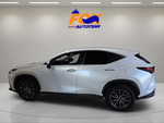 2024 Lexus NX 250 Premium