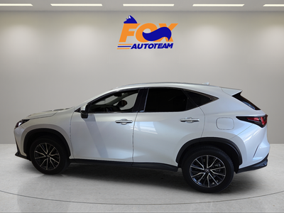 2024 Lexus NX 250 Premium
