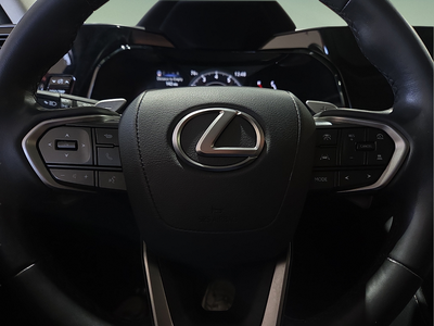 2024 Lexus NX 250 Premium