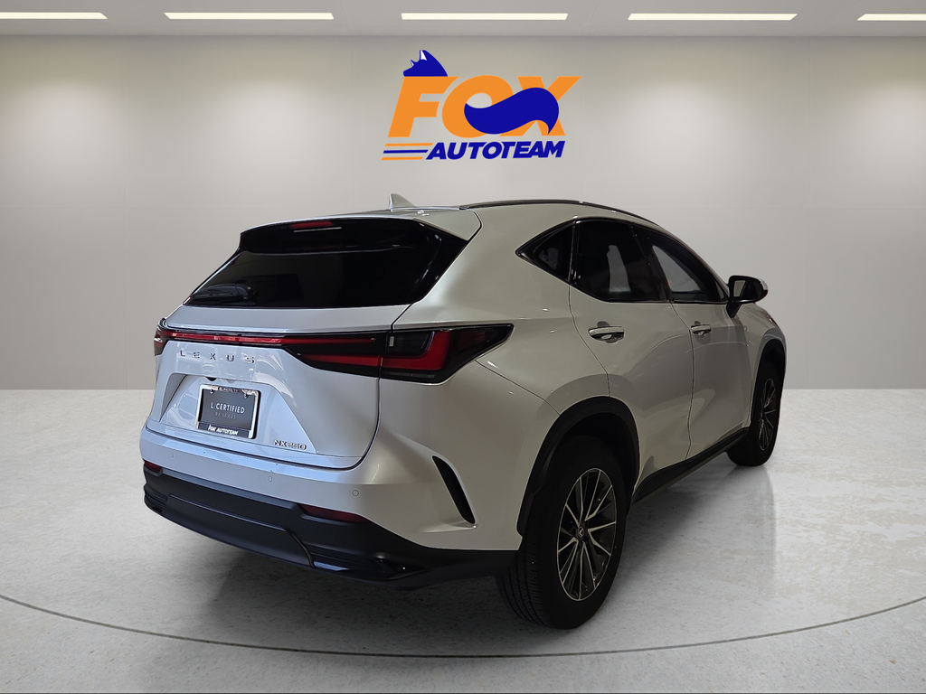 2024 Lexus NX 250 Premium