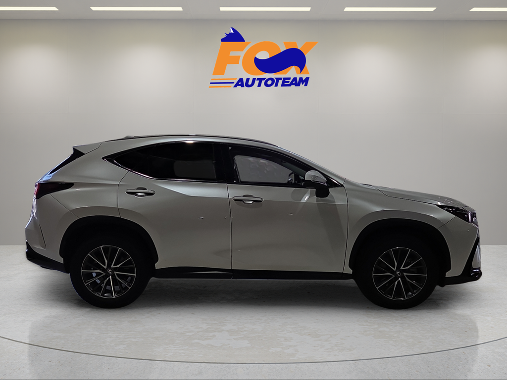 2024 Lexus NX 250 Premium