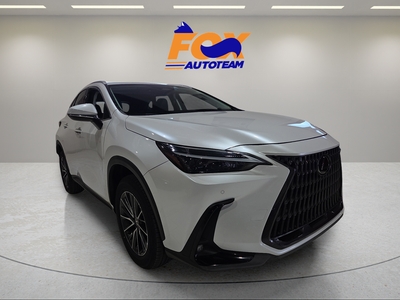2024 Lexus NX 250 Premium