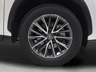 2024 Lexus NX 250 Premium