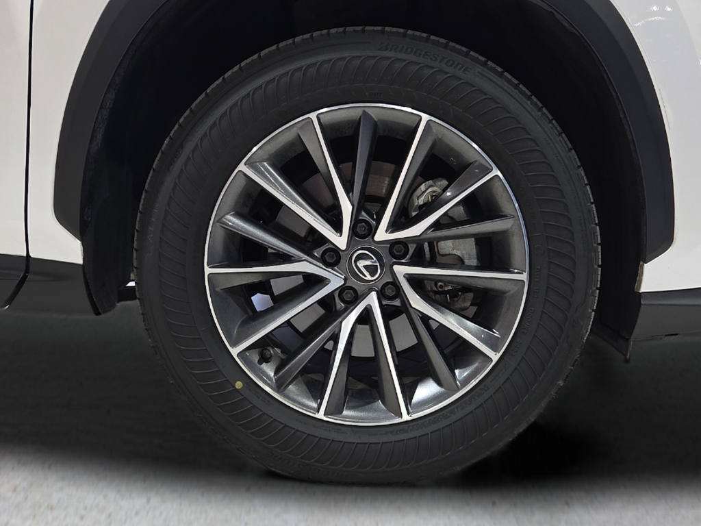 2024 Lexus NX 250 Premium