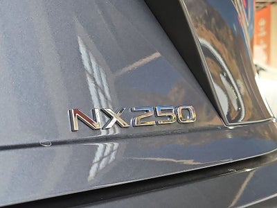 2025 Lexus NX 250 Premium