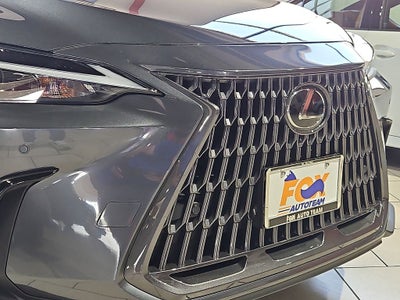 2025 Lexus NX 250 Premium