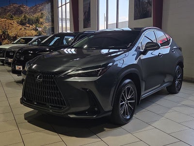 2024 Lexus NX 250 Premium