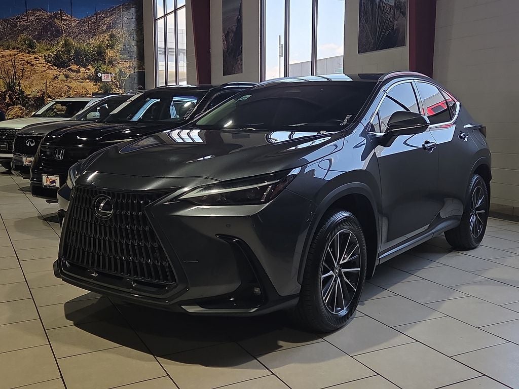 2024 Lexus NX 250 Premium