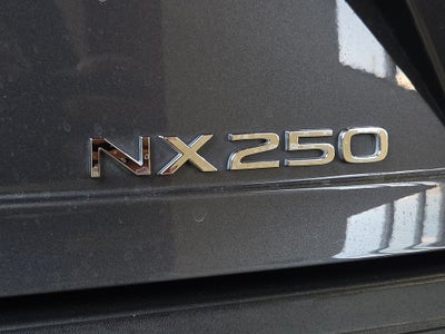 2024 Lexus NX 250 Premium