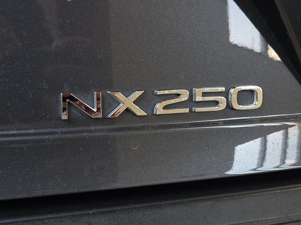 2024 Lexus NX 250 Premium
