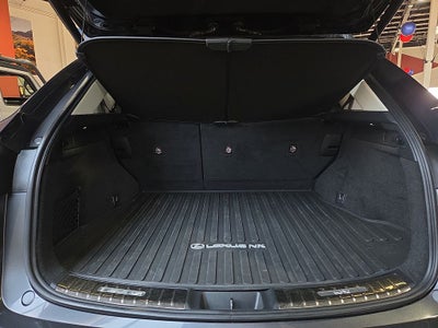 2024 Lexus NX 250 Premium