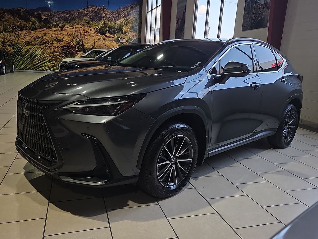2024 Lexus NX 250 Premium