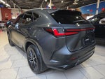 2024 Lexus NX 250 Premium
