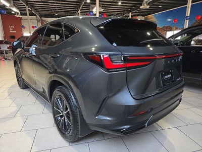 2024 Lexus NX 250 Premium