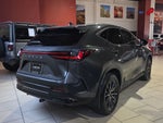 2024 Lexus NX 250 Premium