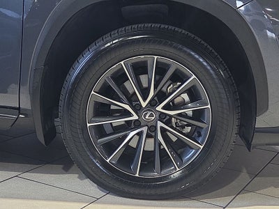 2024 Lexus NX 250 Premium