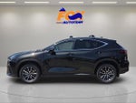 2026 Lexus NX 350h PREMIUM
