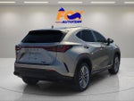 2026 Lexus NX 350 LUXURY AWD
