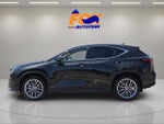 2026 Lexus NX 350 LUXURY AWD