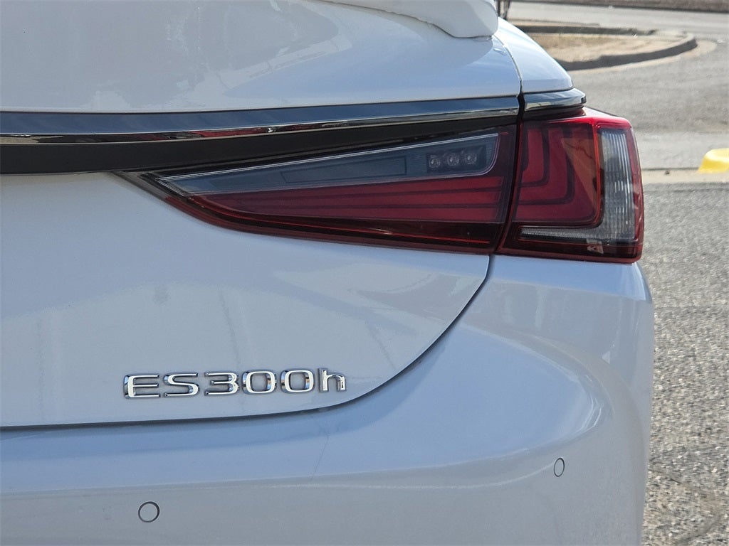 2024 Lexus ES 300h F SPORT Handling