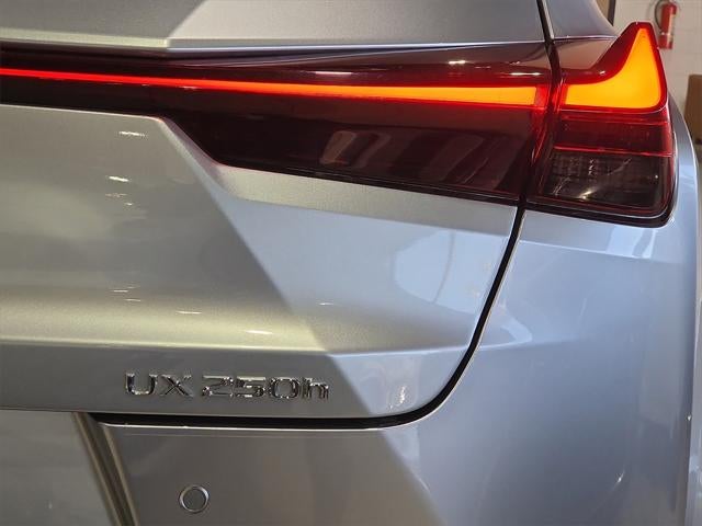 2023 Lexus UX 250h F SPORT Handling