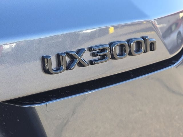 2026 Lexus UX 300h PREMIUM