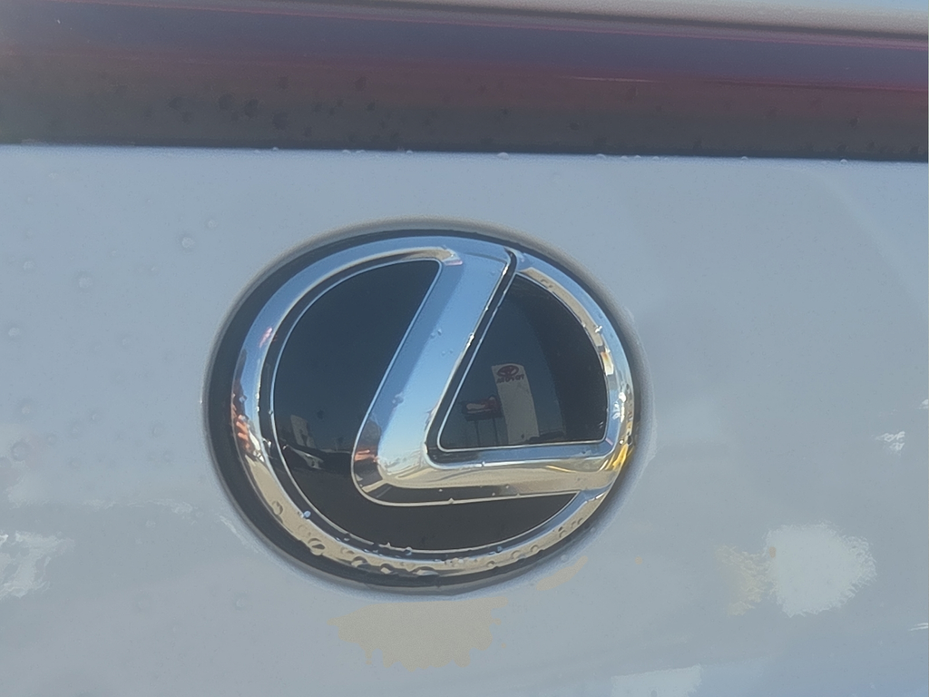 2026 Lexus UX 300h F SPORT Design