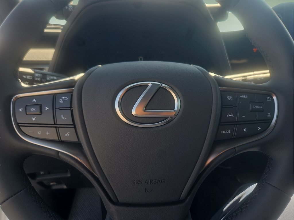 2026 Lexus UX 300h F SPORT Design