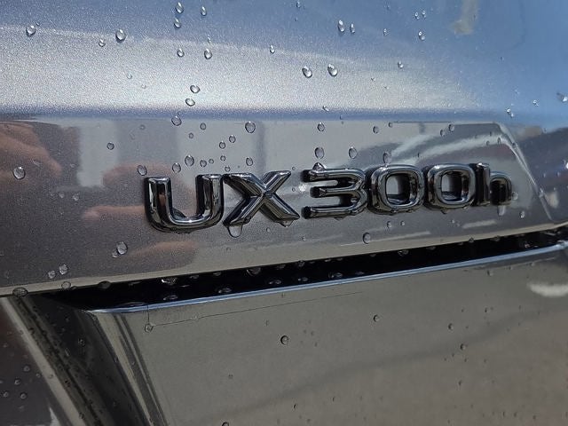 2026 Lexus UX 300h F SPORT DESIGN