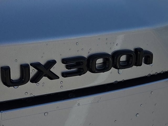 2026 Lexus UX 300h PREMIUM