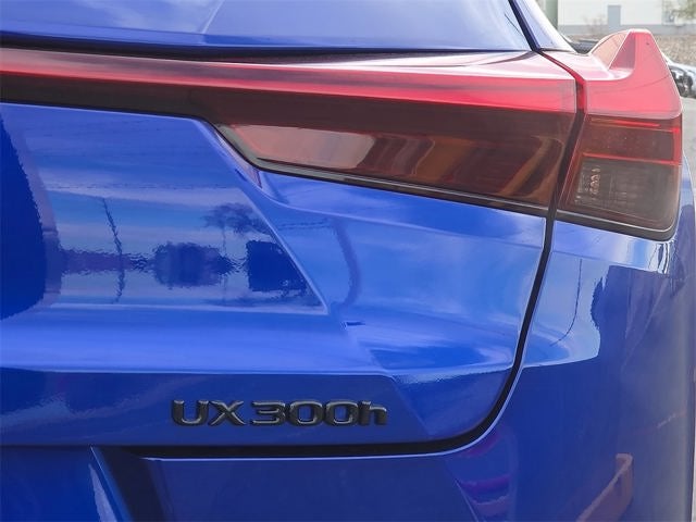 2025 Lexus UX 300h F SPORT DESIGN