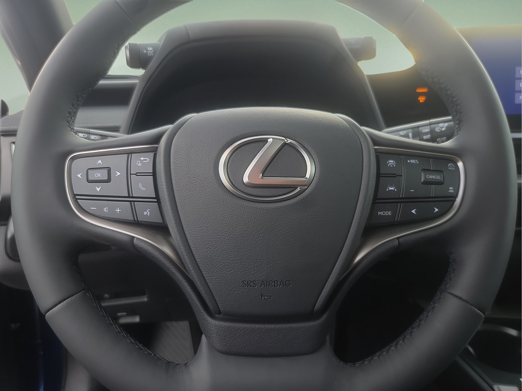 2025 Lexus UX 300h F SPORT Design