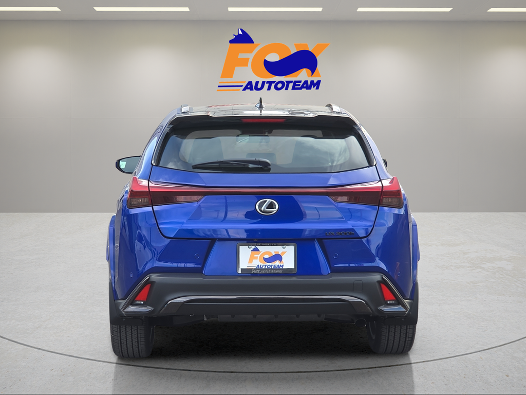 2025 Lexus UX 300h F SPORT Design