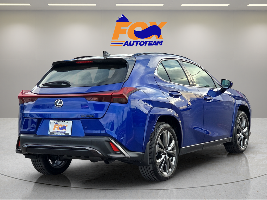 2025 Lexus UX 300h F SPORT Design