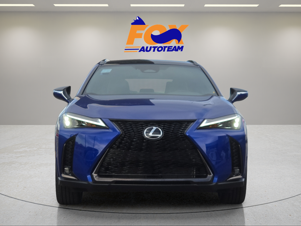 2025 Lexus UX 300h F SPORT Design
