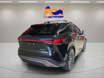 2025 Lexus RX 350 Premium Plus