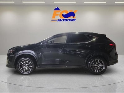 2024 Lexus NX 350h Premium